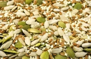 बीजों के फायदे | बीजों के स्वास्थ्य लाभ | Health benefits of seeds | in hindi