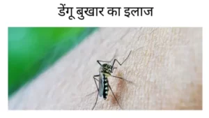 Dengue ka ilaj hindi main