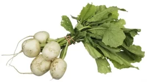 Health benefits of Turnips in hindi