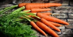 carrot benefit in hindi