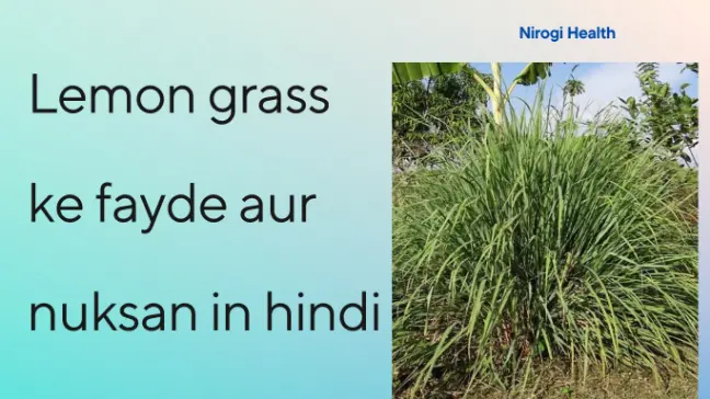 Lemongrass Benefits in hindi