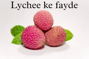 lychee benefits