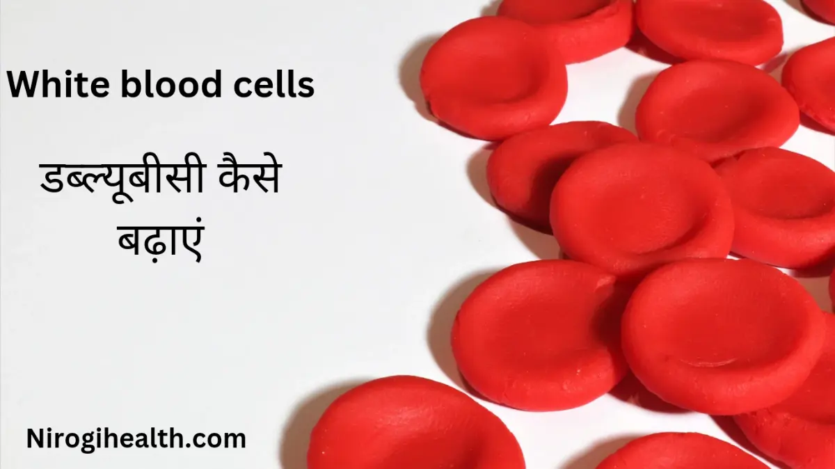 Increase white blood cells in hindi