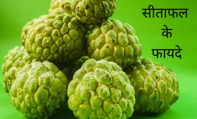 custard apple benefits sitafal in hindi