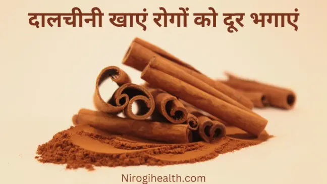 cinnamon powder dalchini in hindi