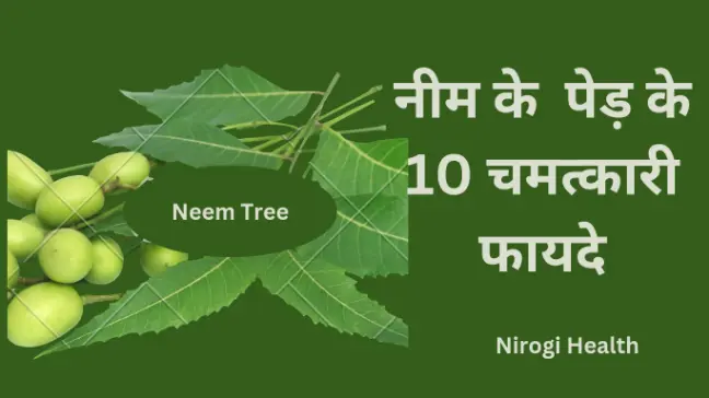 neem tree benefits in hindi