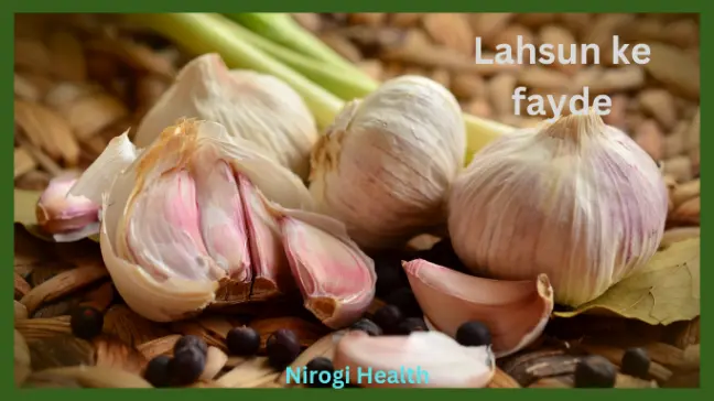 Garlic health benefits in hindi