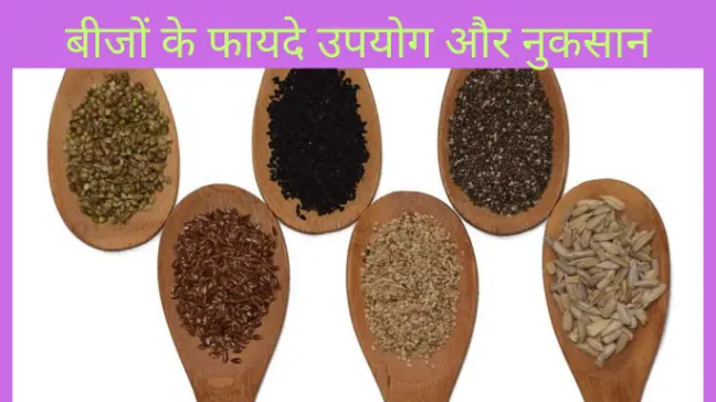 seeds benefits in hindi