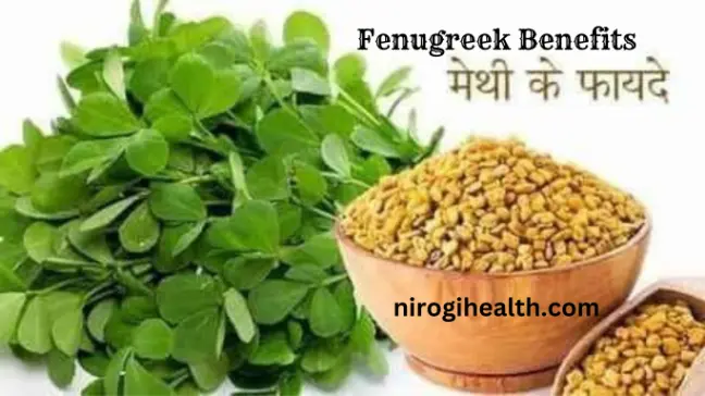 fenugreek seeds in hindi