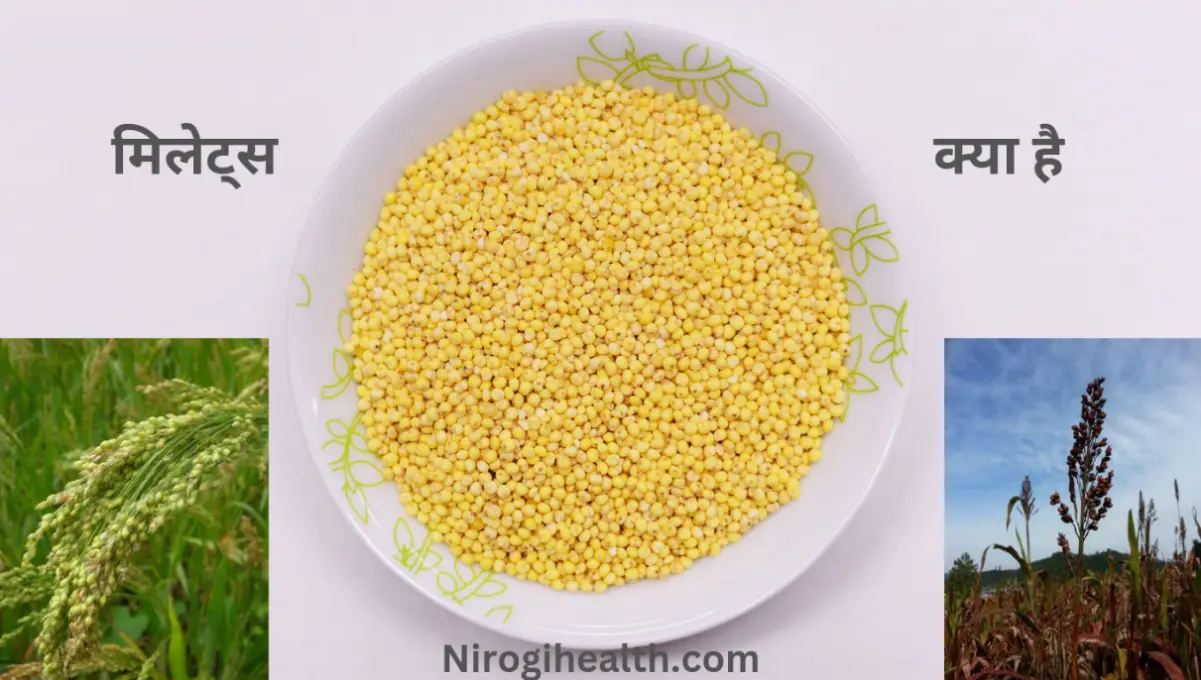What is millet in hindi