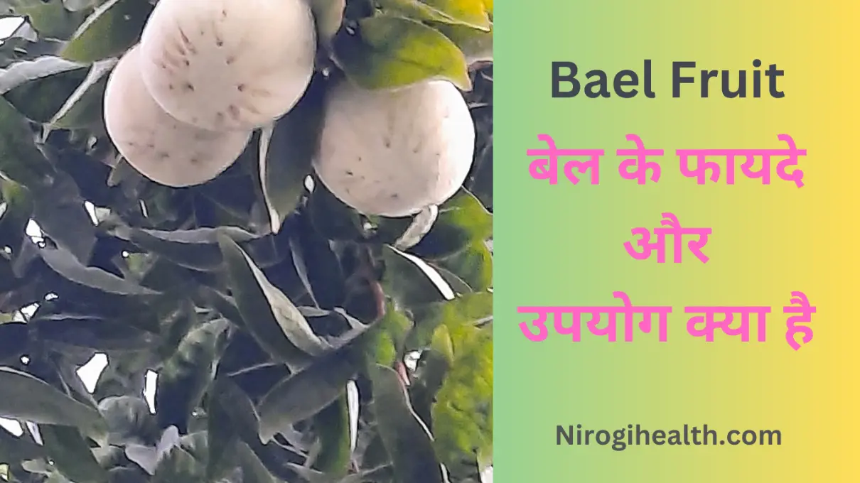 bael fruit benefits in hindi
