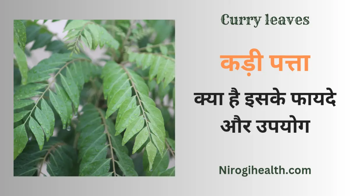 curry leaves benefits kadi patta