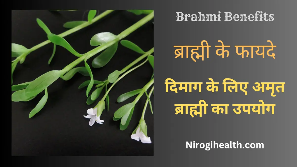 Brahmi benefits